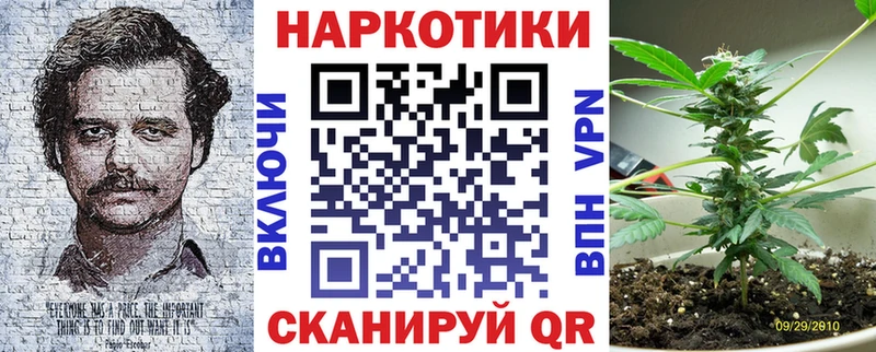 Купить закладку Гашиш  Cocaine  Псилоцибиновые грибы  A-PVP  Каннабис  МЕФ  Чапаевск