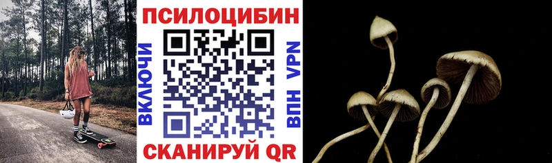 Купить где  Чапаевск  Псилоцибиновые грибы Cubensis 